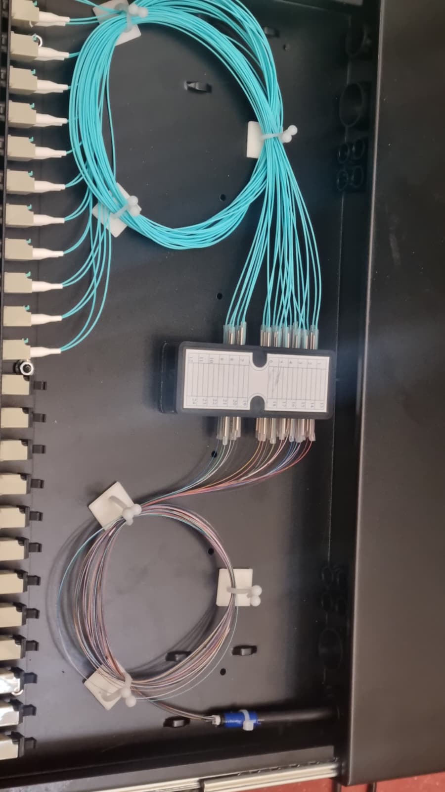 OM3 fibre splice tray, cyan patch cables